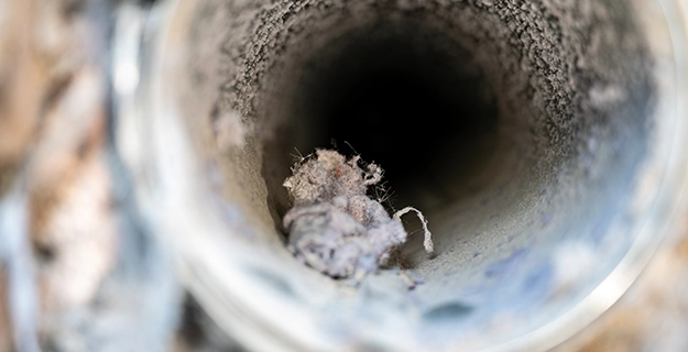 View of dryer vent line with lint and dust buildup.