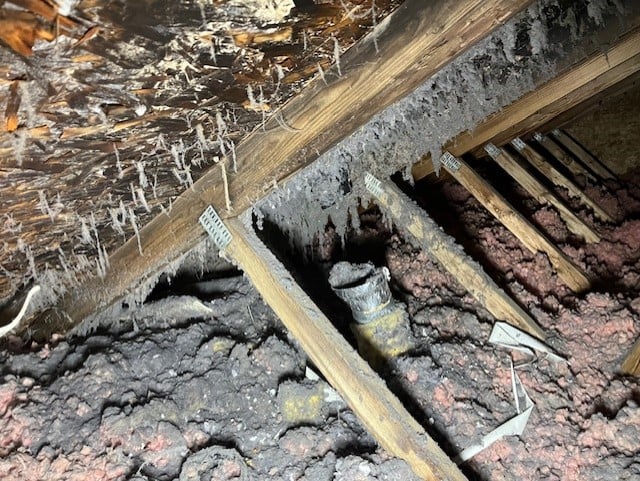 Dryer Vent Wizard inspections make sure your vent system is working properly.   A disconnection can cause damage to your home.