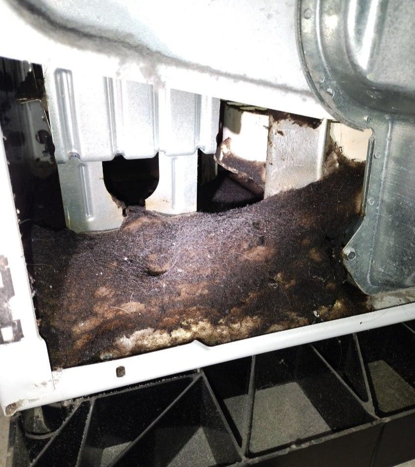 Burnt Lint in a dryer in Carmel