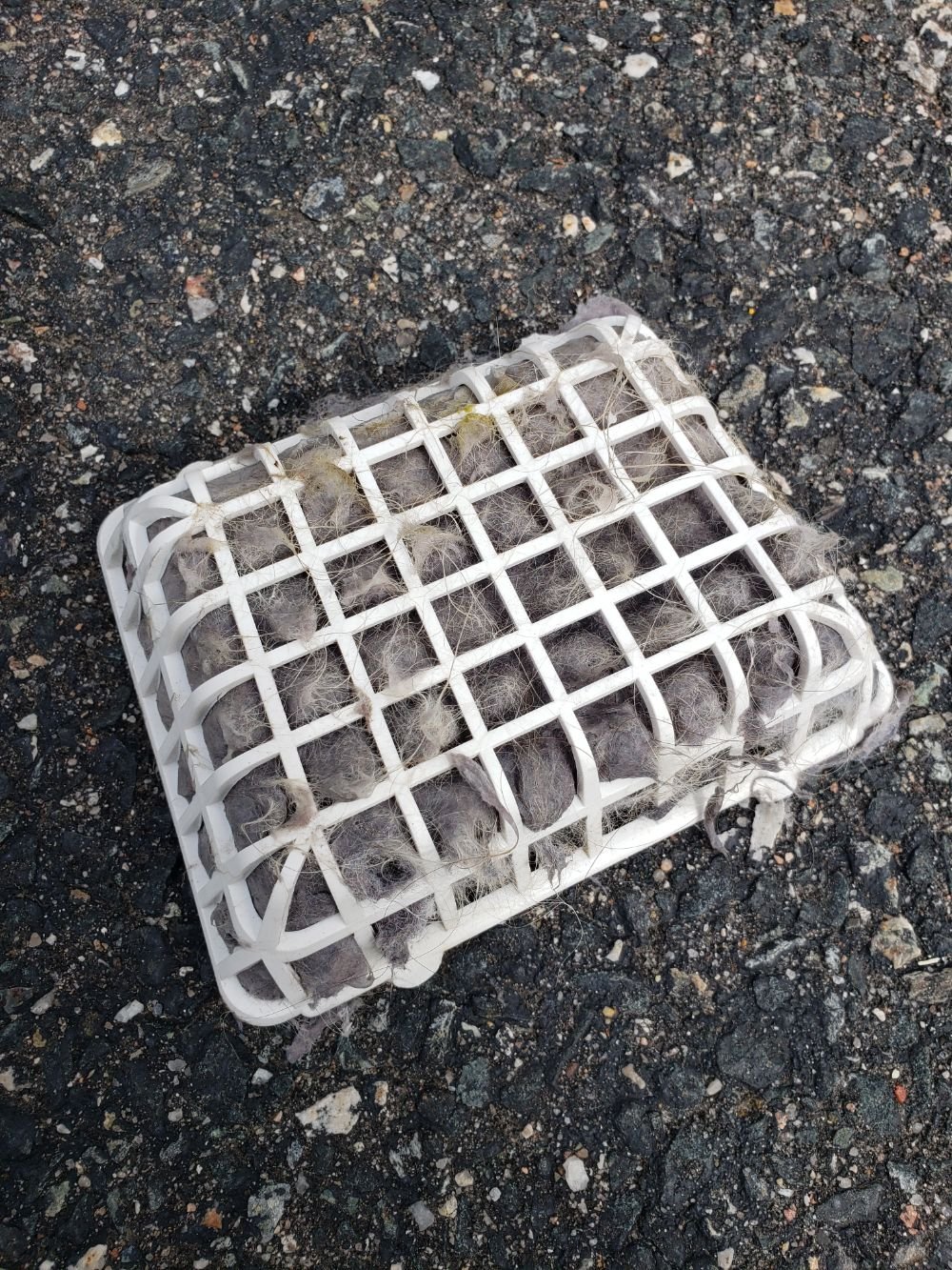 Vent Cover Repair in Middlesex Essex Massachusetts