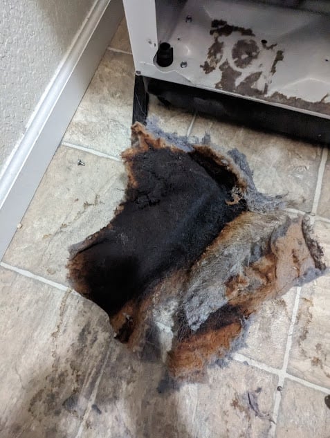 revealing highly hazardous burnt dog hair found in a Boulder dryer, emphasizing the serious fire risks associated with neglecting maintenance