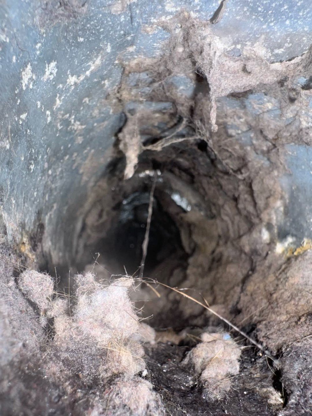 Most dryer vent pipes that are not cleaned at least every 12 months look like this.