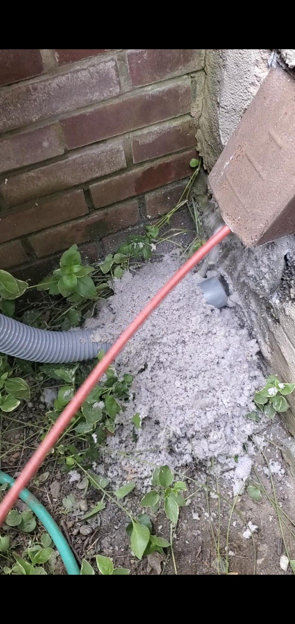 Dryer Vent Cleaning in Queens