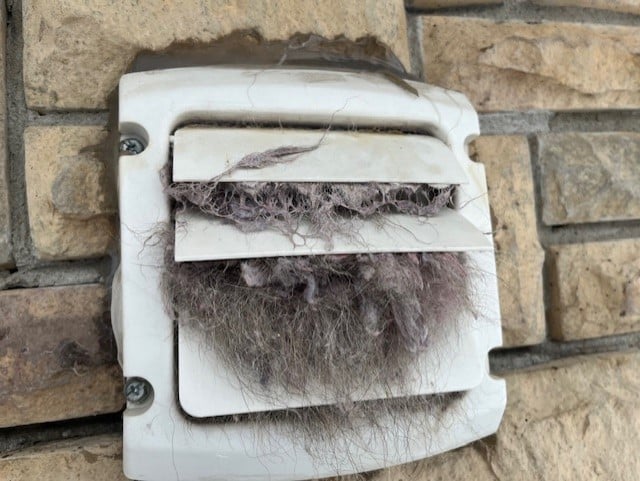 Pets can contribute to your dryer vent load!
