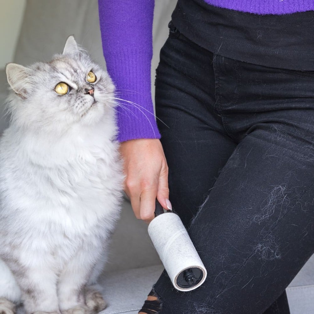 Lint Roller