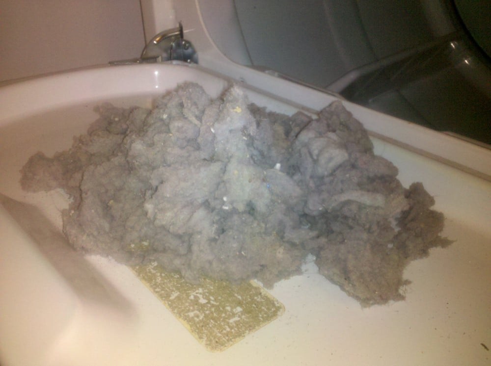 Lint removed from a lint tray cleaning.