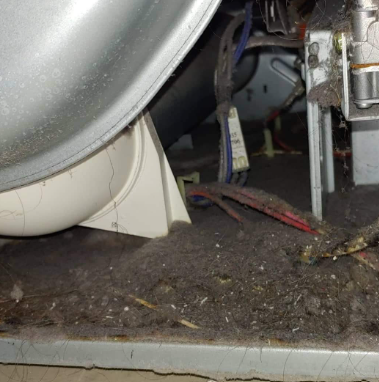 Good thing we got to this dryer before any fire happened, this thing was just WAITING to burn! ???????????? #dryerventcleaning #firehazard #fireprevention #FireDanger #Neighborly #HomeTips