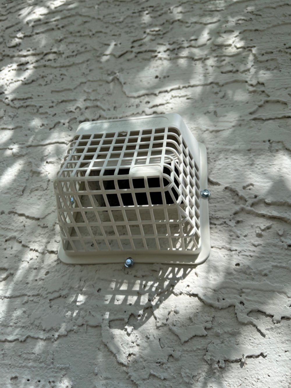 Pest trap