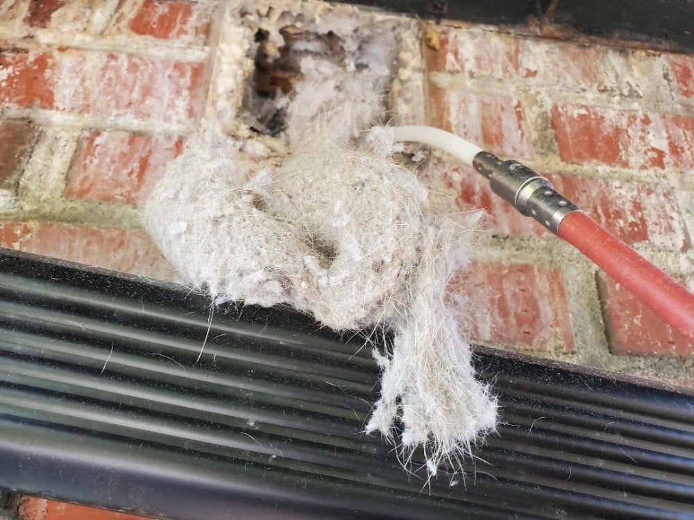 Pet hair removed from vent in Brooklyn