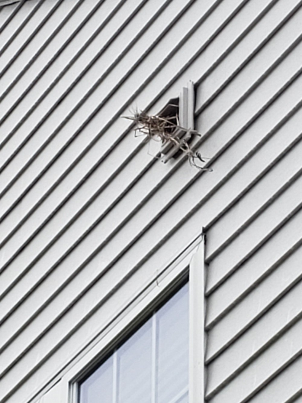 Condominium HOA Inspection and Cleaning by Dryer Vent Wizard of Middlesex Essex