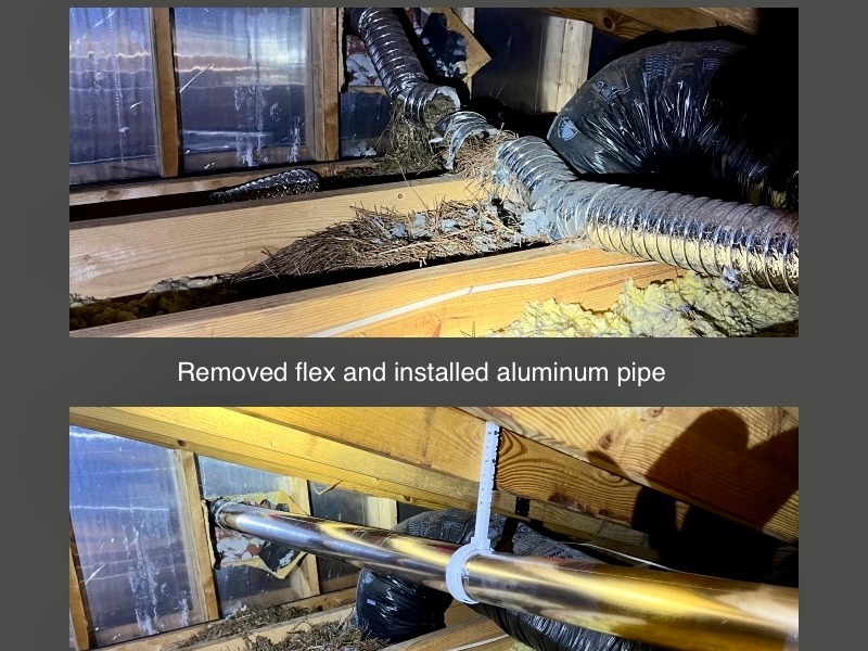 Squirrels birds and Rodent dryer in your vent