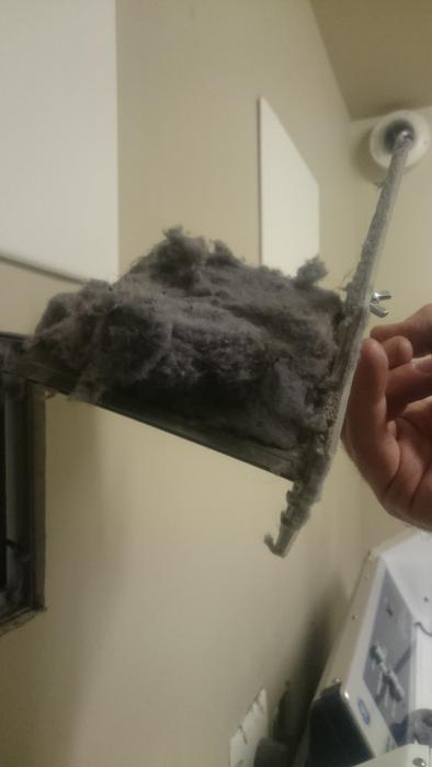 That's a lot of lint!