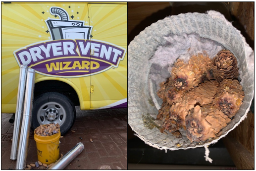 We test and inspect your system to ensure it is clean and clear.   A wild creature filled this vent with pinecones.