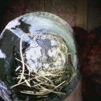 Dryer Vent Wizard finds a bird's nest inside this homeowner's dryer vent.