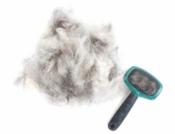 Pile of animal hair with hair brush